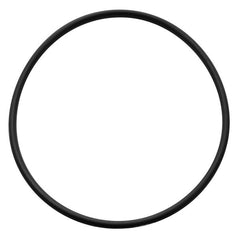 General Ecology O-Ring 2-241 / #20 Pre-Filter Housing Seal (Part No. 73954 / 900105)