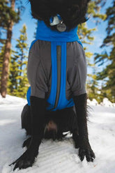 Ruffwear Vert™ Superior Coverall Dog Snow Suit in Blue Pool (Large) - 0568-410L
