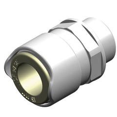 Whale Adaptor 1/2" BSP Male 15mm - WX1514B