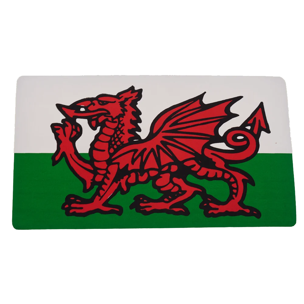 W4 Rectangle Welsh Dragon Sticker - Caravan Motorhome