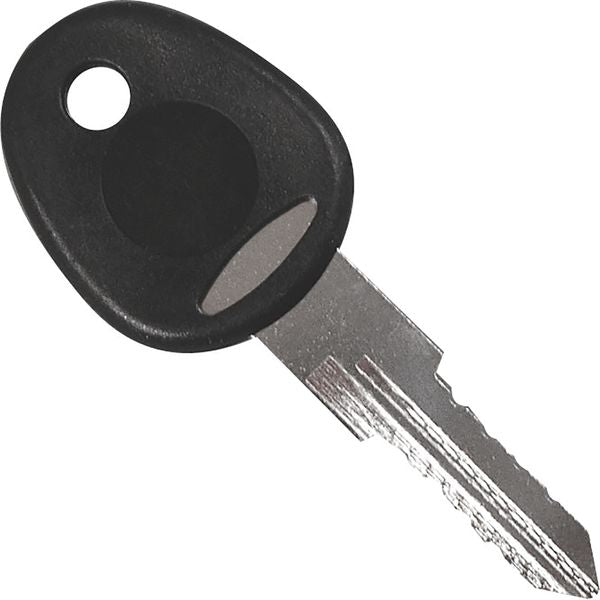 FAP System Removal Key - 10430008N NEW SY REM