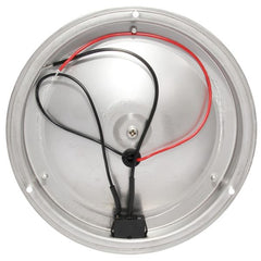 12V Stainless Dome Light Warm White LED 137mm 4" Dome