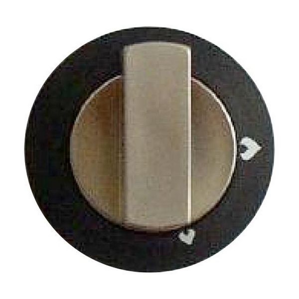 Thetford Hob-Grill Knob Black and Satin SSPA0902.SA for Enigma Cookers