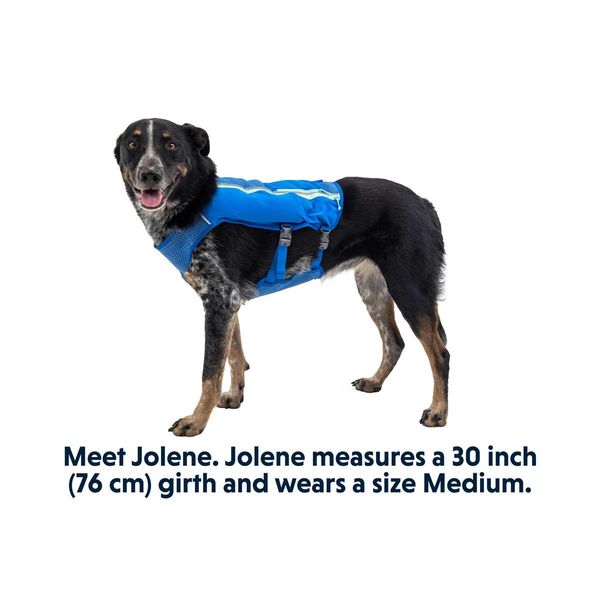 Ruffwear Trail Runner™ Dog Running Vest in Blue Pool (Small) -  5080-410S