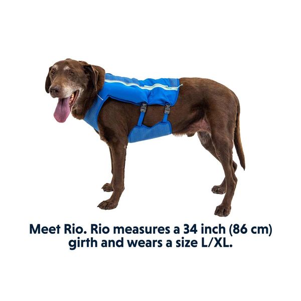 Ruffwear Trail Runner™ Dog Running Vest in Blue Pool (Small) -  5080-410S