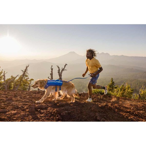 Ruffwear Trail Runner™ Dog Running Vest in Blue Pool (Small) -  5080-410S