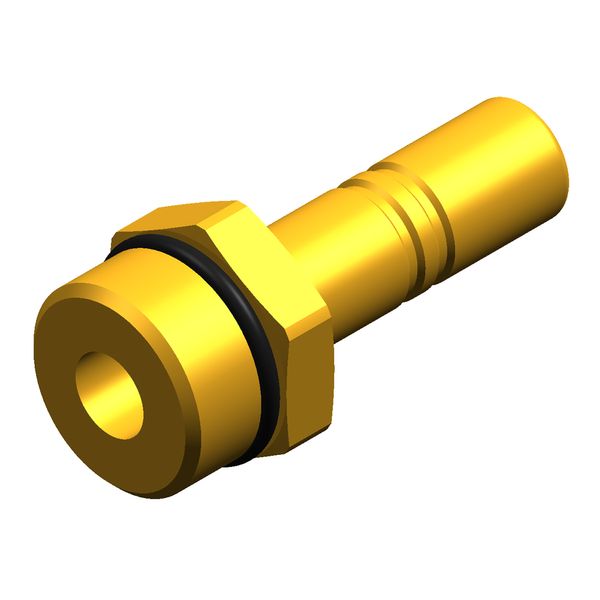 Whale Stem Adapter Male 1/2" BSP-12mm Brass - WU1264B